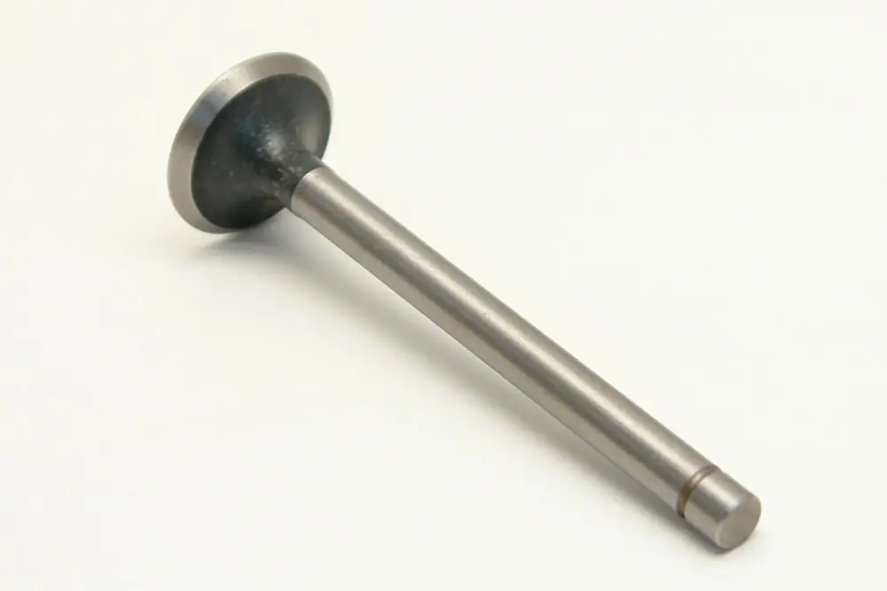 69010554 Ventil výfukový Sezónní Sleva