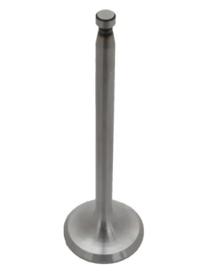 SK0011584-CZ20260306-083332-0-1772757212-size5-17682111282814-175 950505 Ventil sací Levný