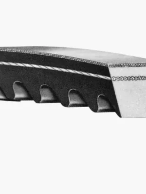 řemen 17x1200 Li-BX 1243 Lw Must-Have