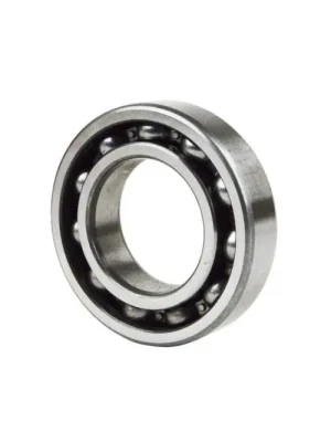 SK0013998-CZ20260306-083332-0-1772757212-size5-17561979012314-175 6006 Z P6 ZVL Ložisko kuličkové Přímo Od Výrobce