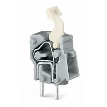 Ověřený Svorka řadová 2,5 šedá 257-451 rozteč 5/5,08 2pájecí kontakty