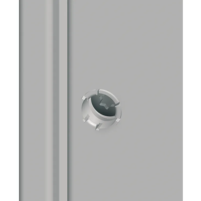 Akce SCHNEIDER NSYCSSF Šroub pro upevnění bočních panel