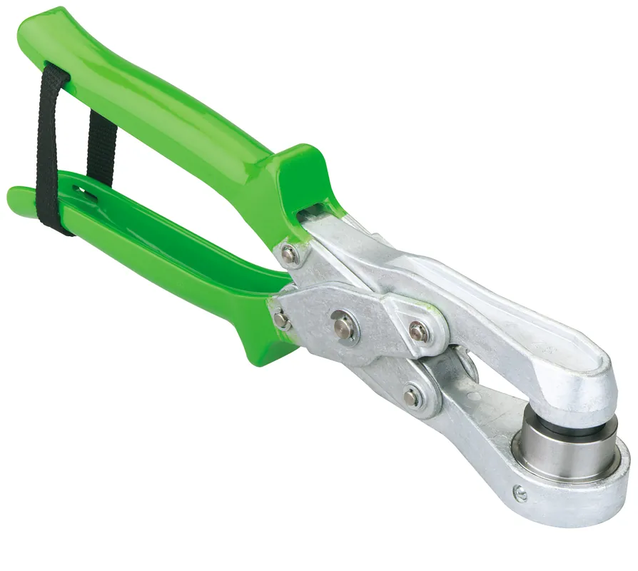 97811801 IBT Expresní Doručení