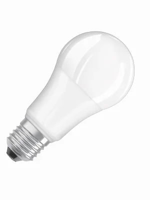 SK0200930-CZ20260306-083626-0-1772757395-pim-1268452_1 Akce OSRAM Žárovka LED 13W-100 E27 6500K 180°